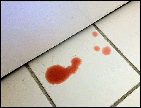 urine on floor with blood.jpg